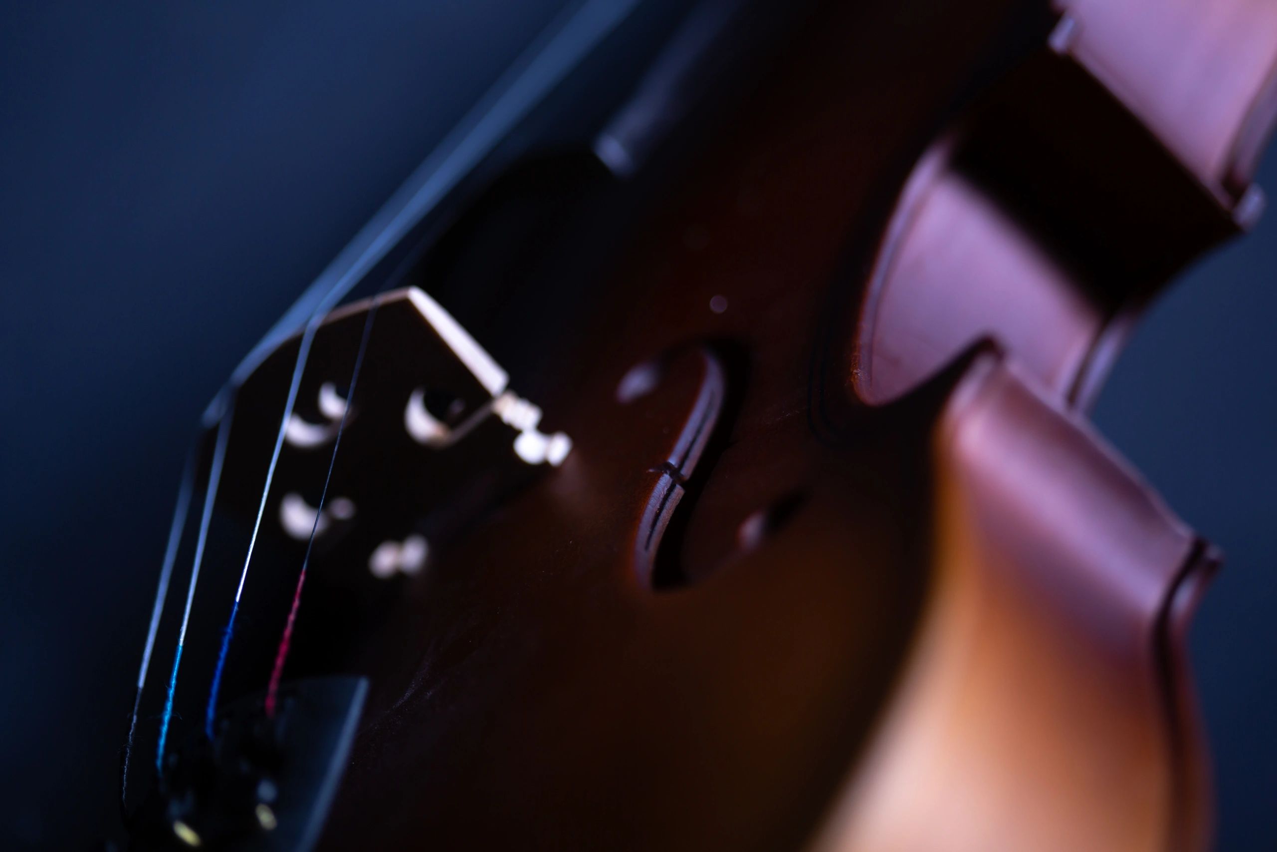 Close-up of guitar strings and wood body